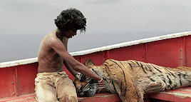 lifeofpi